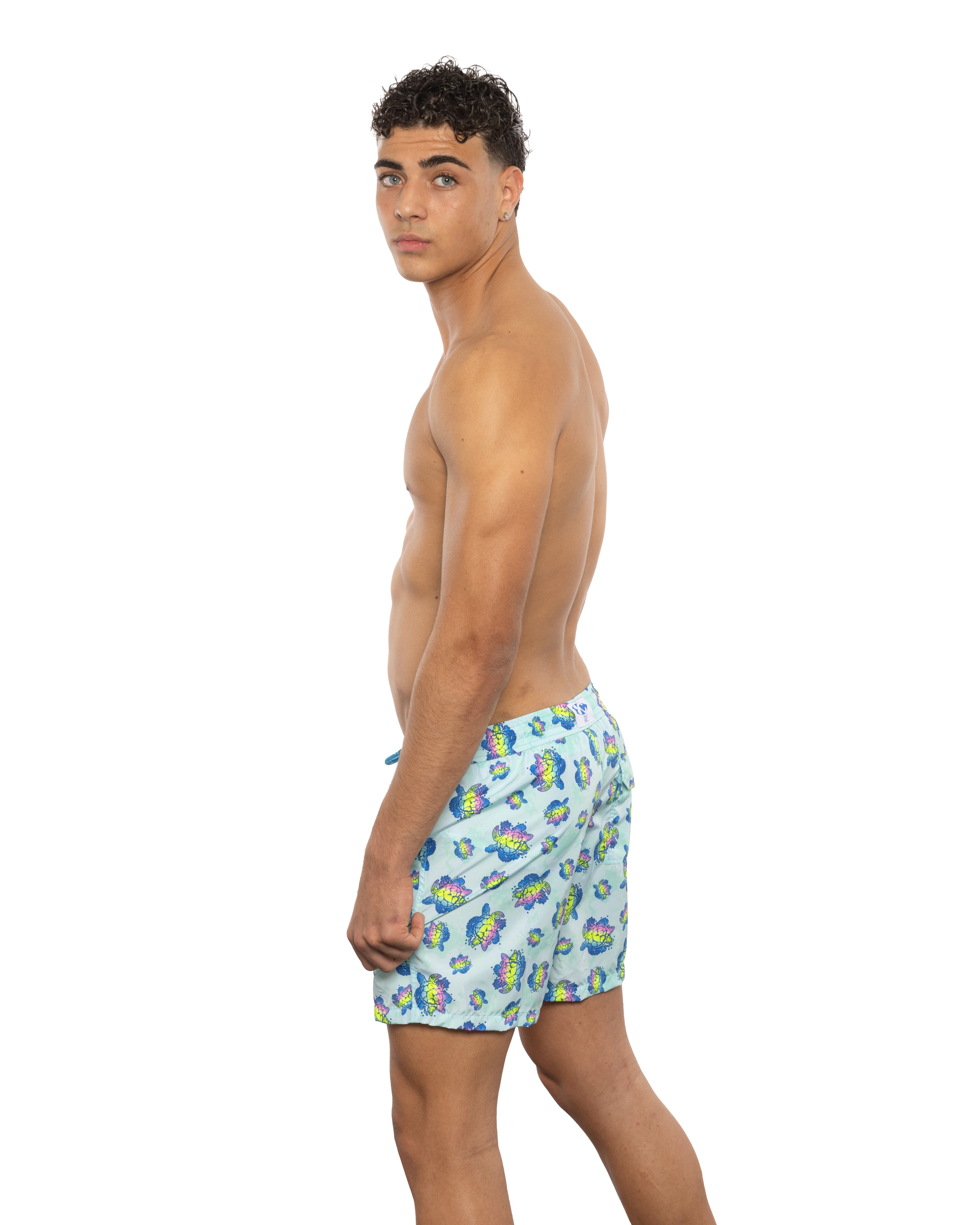 SHORT MAN TURTLE